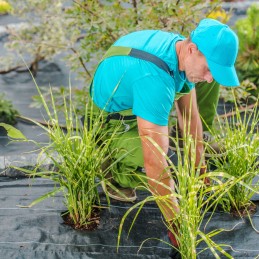 Agrotekstilės kilimėlis nuo piktžolių 1,6 m x 10 m 70 g juodos agrotekstilės