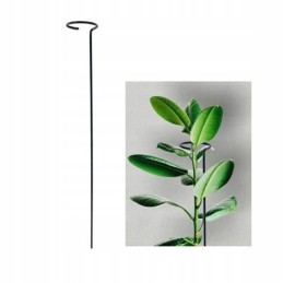 SINGLE FLOWER BALSTS metāls H35 augiem