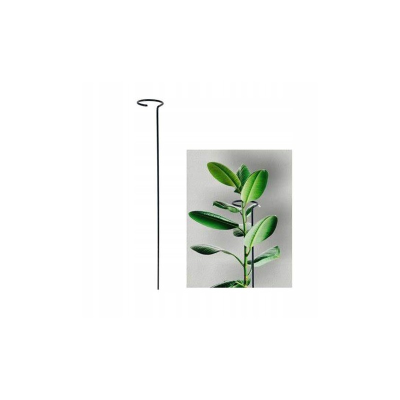 SINGLE FLOWER TUGI metall H35 taimedele