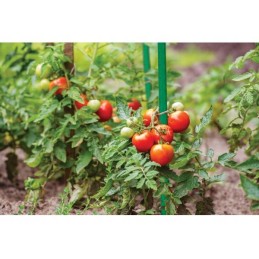 Plieninis sodo stulpas 0,8cm x 120cm