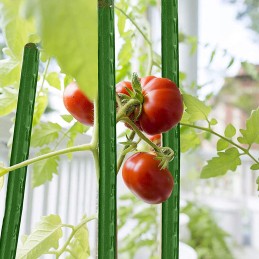GARDEN POLE TOMATO PLANT STAKE 0.8X120 CM