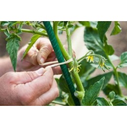 GARDEN POLE TOMATO PLANT STAKE 0.8X120 CM
