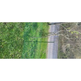 GARDEN POLE BRADAS SUPPORT POSTS TOMATO PLANTS 1.1X90