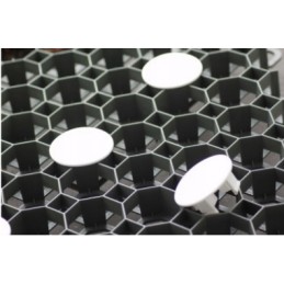 Baltas parkavimo žymeklis.