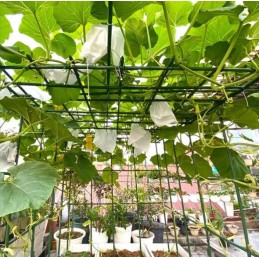 POMIDORŲ AUGALŲ POLAS APRANGA 1,1x120cm