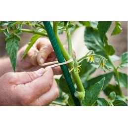 POMIDORŲ AUGALŲ POLAS APRANGA 1,1x120cm