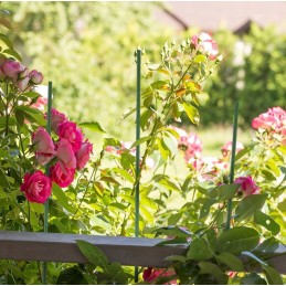 POMIDORŲ AUGALŲ POLAS APRANGA 1,1x120cm