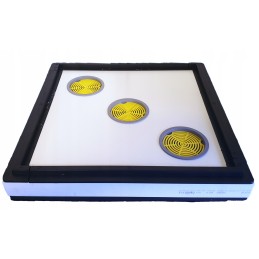 Wielkopolska 10r Styrodur avilys iš Api House yra lengviausias pilnas avilys bitininkystės rinkoje.