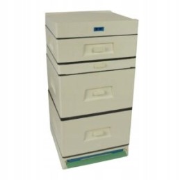 Wielkopolska avilys 10 kadrų a001 apikoz