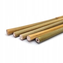 BAMBOO POLE 45cm - atraminis kuolas gėlėms, daržovėms ir vazoniniams augalams