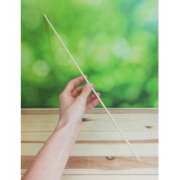 BAMBOO PIN augalų atraminis stulpas 50cm