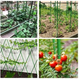 Green Garden stiebas pomidorams/augalams 120cm