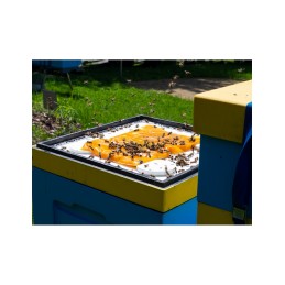 apikandis su žiedadulkėmis 1kg pyrago maistas bitėms