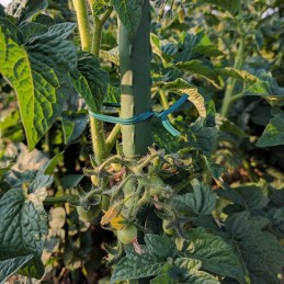 Stulpų surinkimas? Tai nieko sunku!