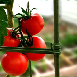 ⭐Stulpų montavimas? Nieko sunku!⭐