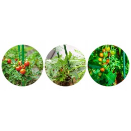 Stulpų surinkimas? Tai nieko sunku!