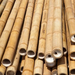 Bambuko stulpo augalo atrama 40cm 6-8mm