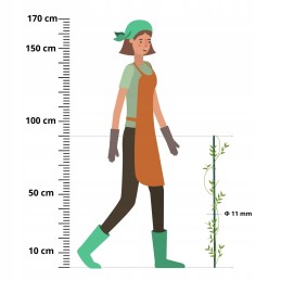 Stulpų surinkimas? Tai nieko sunku!