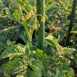 Stulpų surinkimas? Tai nieko sunku!