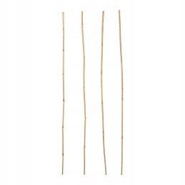 Bambuko stulpas sodo augalų atrama dl 75cm sr 8 12mm 1 vnt