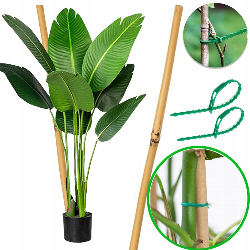 BAMBUKO stiebas - ATRAMAS GĖLĖMS 60cm (8-10MM) + 2 spaustukai