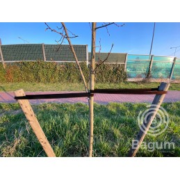 JUOSTA MEDŽIAMS SURIŠTI IR STABILIAVIMUI 30mm x 1mb JUODA