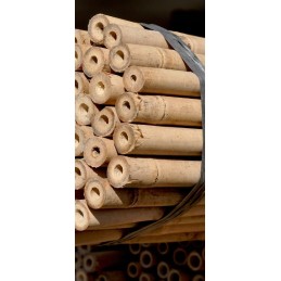 Bambukinis stulpas 60 cm, skersmuo 8-10