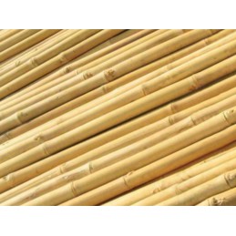 TIN TOURS BAMBOO POLE 90CM 10-12MM 1 vnt