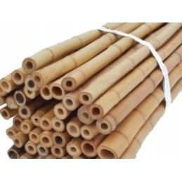 TIN TOURS BAMBOO POLE 90CM 10-12MM 1 vnt