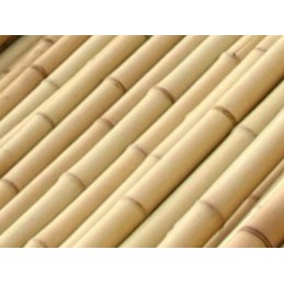 TIN TOURS BAMBOO POLE 90CM 10-12MM 1 vnt