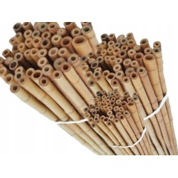 TIN TOURS BAMBOO POLE 105CM 10-12MM 1 vnt