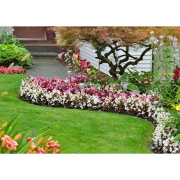 Sodo vejos kraštas l palisadė l kraštinė l sodo bortelis