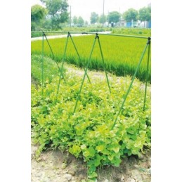 PLANT SUPPORT POLE GREEN COATED 11/150