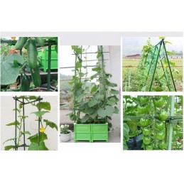 PLANT SUPPORT POLE GREEN COATED 11/150