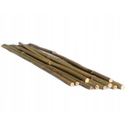 BAMBUKO POLAI 45cm 10 vnt. - paramos kuoliukai gėlėms, daržovėms ir augalams
