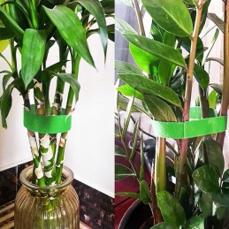 ŽALIA SPALVA – PIRTI IKI 5 METRŲ