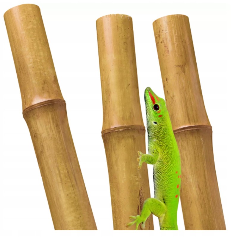 BioBamboo Stick bambuko lazdelė 30cm ⌀16-22mm