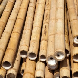 BioBamboo Stick bambuko lazdelė 30cm ⌀16-22mm