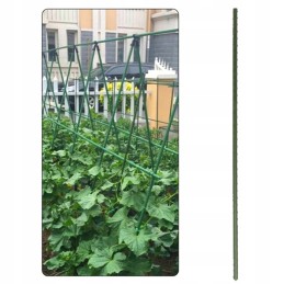 DANGTA Plieninė stiebo AUGALŲ 60 cm