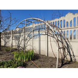 Pipe Fi 32 kituose aukcionuose.