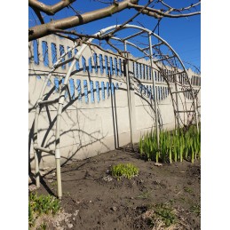 Pipe Fi 32 kituose aukcionuose.