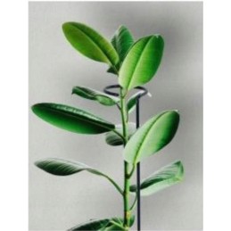 VIENA ATRAMA GĖLĖMS H35 cm