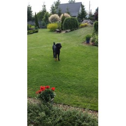 MultiBord apvado aukštis 45mm, bortelis +3 inkarai/m