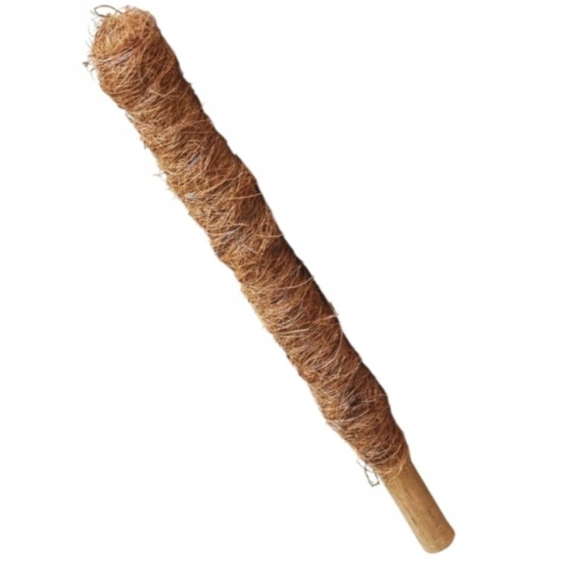 Kokoso-bambuko kuolas 40 cm - augalų kotelis, atrama vynmedžiams