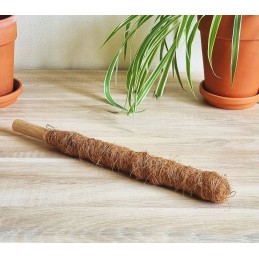 Kokoso-bambuko kuolas 40 cm - augalų kotelis, atrama vynmedžiams