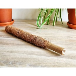 Kokoso-bambuko kuolas 40 cm - augalų kotelis, atrama vynmedžiams