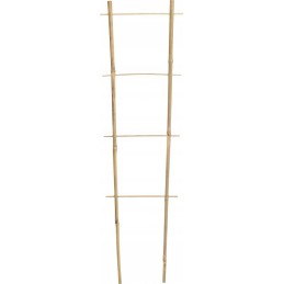 Dvigubos bambuko kopėčios 45 cm PERGOLA AUGALŲ GĖLĖMS