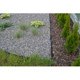 SODO VEJOS KRAŠTAS Palisadas 45mm 4,5cm 1m + 3 ANKRAI