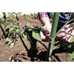 ✨ Metalinis sodo stulpas, padengtas PVC, augalams ir pomidorams palaikyti 1,1x120cm 1 vnt ✨