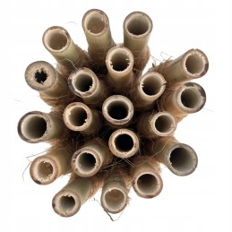 Kokosinis kuolas + bambukinis kuolas, aukštis 50 cm, skersmuo. 25 mm